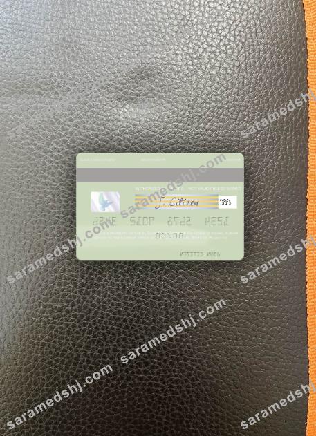 Palestine Al Quds Bank visa debit card photolook back